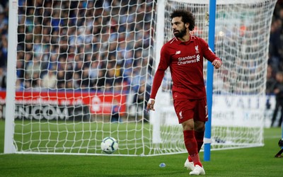 幻影体育热评-斯塔尼希奇考教练证书